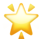 🌟